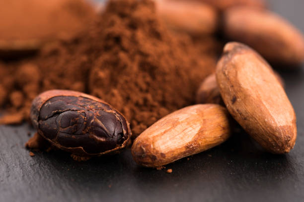istock cacao beans and cacao powder in spoon 805053778