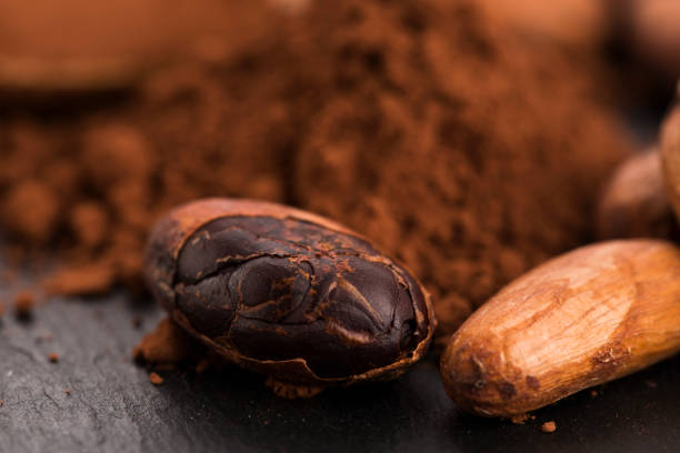 istock cacao beans and cacao powder in spoon 805053888