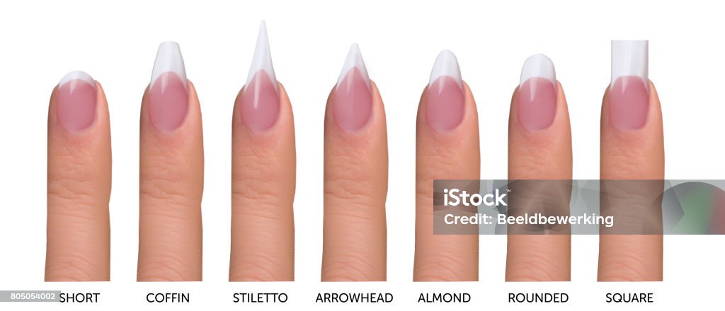 Seven Most Common French Manicure Nail Shapes Stock Photo - Download Image Now - Fingernail, Shape, Manicure - iStock Seven Most Common French Manicure Nail Shapes Stock Photo - Download Image Now - Fingernail, Shape, Manicure - iStock