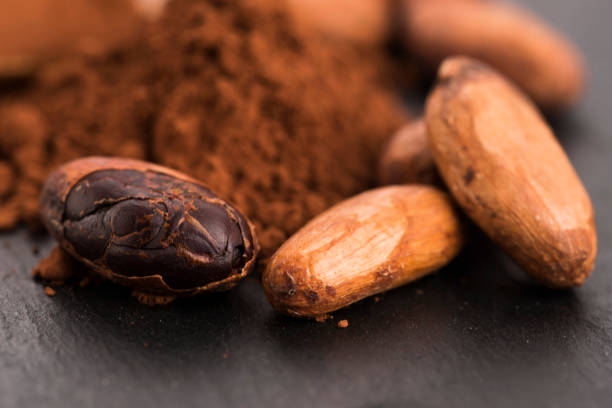 istock cacao beans and cacao powder in spoon 805054300