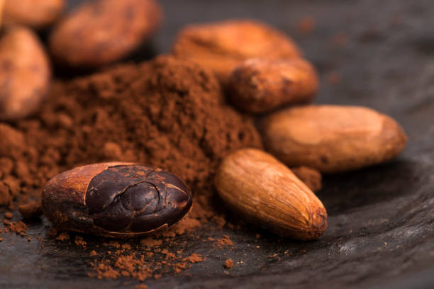 istock cacao beans and cacao powder in spoon 805054312