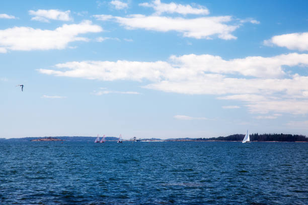 istock The sea, yachts, sky 805059638