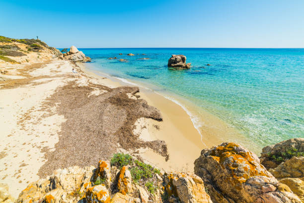 istock Turquoise water in Santa Giusta beach 805068150