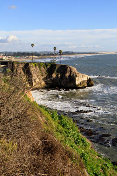 istock Somewhere along the West Coast of America 805068308