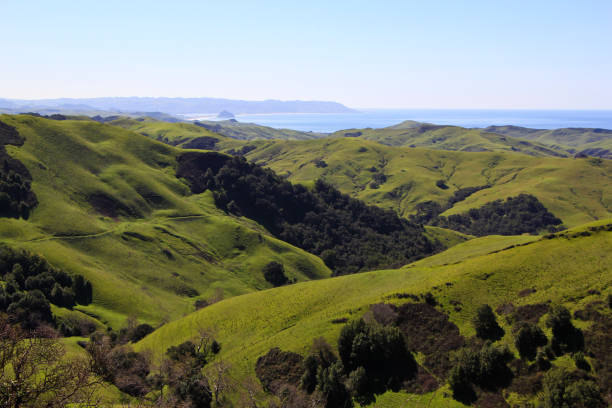 istock Rolling green hills somewhere in California 805068432
