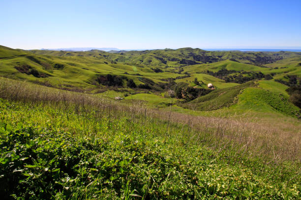 istock Rolling green hills somewhere in California 805068474
