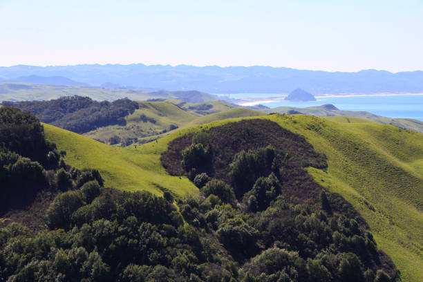 istock Rolling green hills somewhere in California 805068490