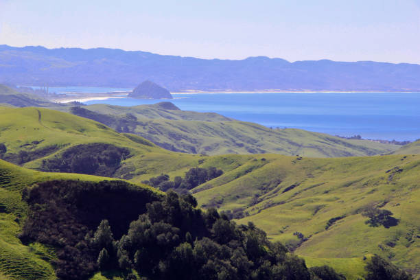 istock Rolling green hills somewhere in California 805068598