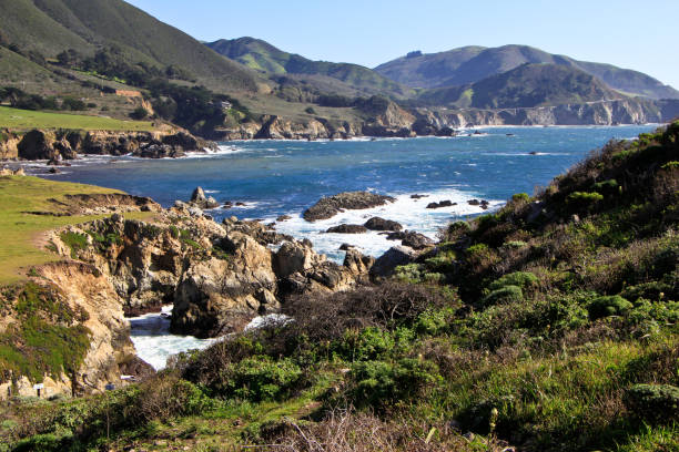 istock Somewhere along the West Coast of America 805068832
