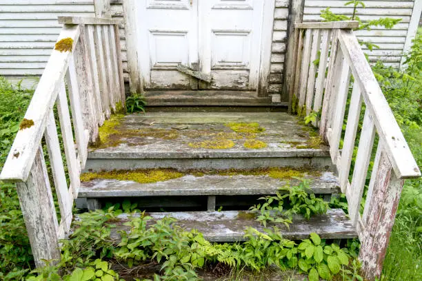 Old rotting moss covered stairs on a building. Lower part of door visible. Moss growing on steps. Plants grow up from under steps. Paint worn. Railing on each side.