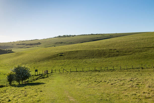 istock Sussex Landscape 805081676