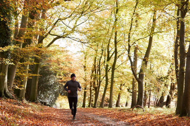 istock Mature Man Running Through Autumn Woodland 805083946