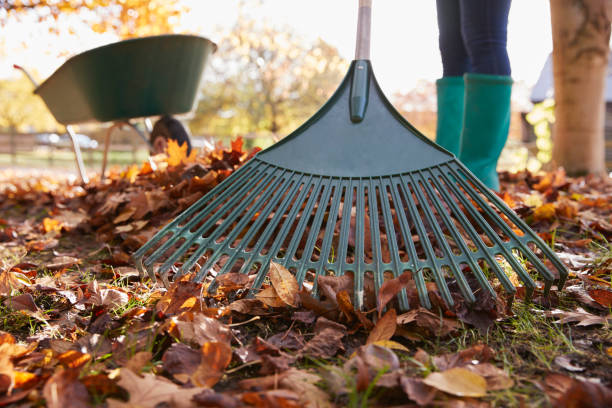 gros plan de femme autumn raking leaves dans jardin - râteau photos et images de collection