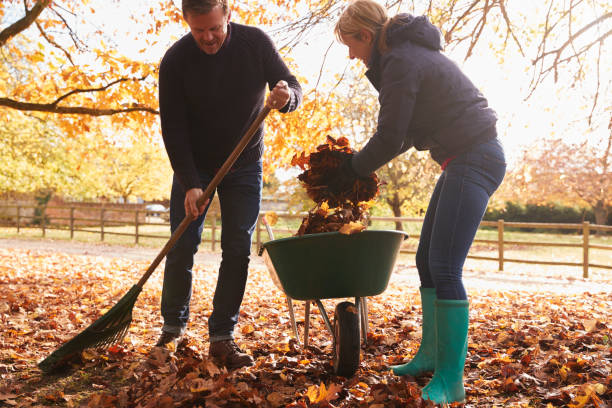 couple senior ratisser automne feuilles dans le jardin - râteau photos et images de collection