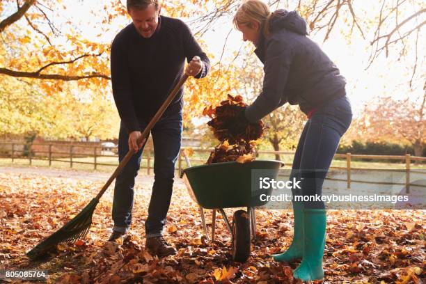 Mature Couple Raking Autumn Leaves In Garden Stock Photo - Download Image Now - Rake, Leaf, Autumn