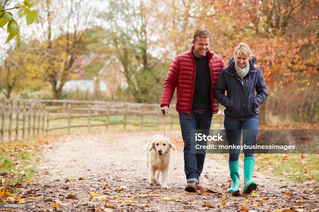 Mature Couple sur promenade d’automne avec Labrador - Photo de Marcher libre de droits