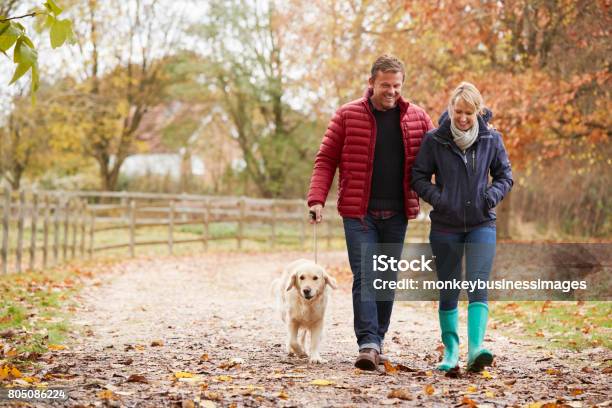 Mature Couple On Autumn Walk With Labrador Stock Photo - Download Image Now - Walking, Mature Couple, Autumn