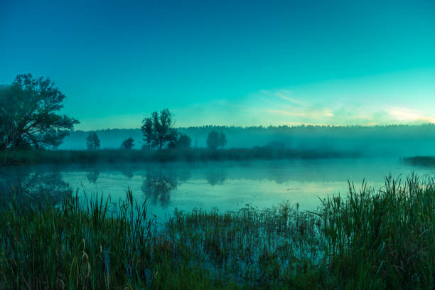 istock Foggy morning. Lake before sunrise. Rural landscape, mystical feeling 805121176