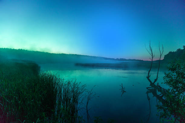 istock Foggy morning. Lake before sunrise. Rural landscape, mystical feeling 805125076
