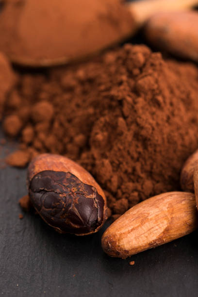 istock cacao beans and cacao powder in spoon 805146166