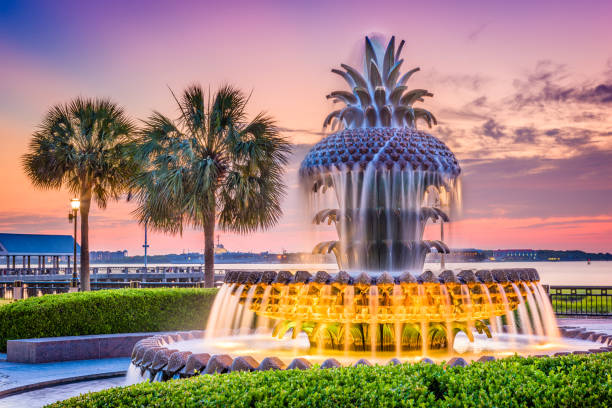 istock Charleston, South Carolina, USA 805158048