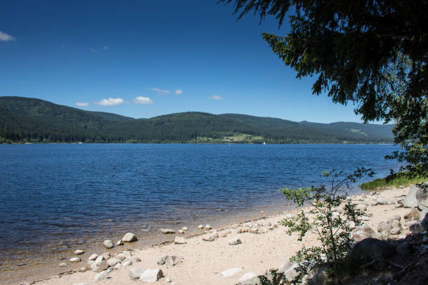 istock Schluchsee in the High Black Forest 805165920