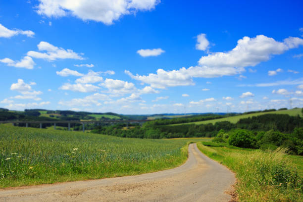 istock Road with wheat field and blue sky 805208184