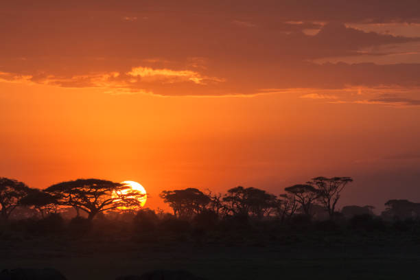 istock African sunrise. Amboseli, Kenya 805220062