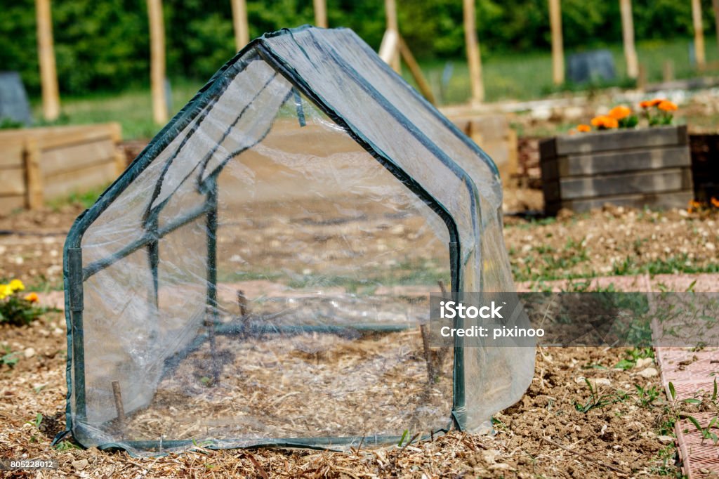 small greenhouse for vegetable seedlings in the spring garden Greenhouse Stock Photo