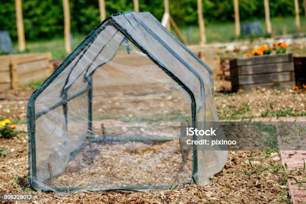 Small Greenhouse For Vegetable Seedlings In The Spring Garden Stock Photo - Download Image Now