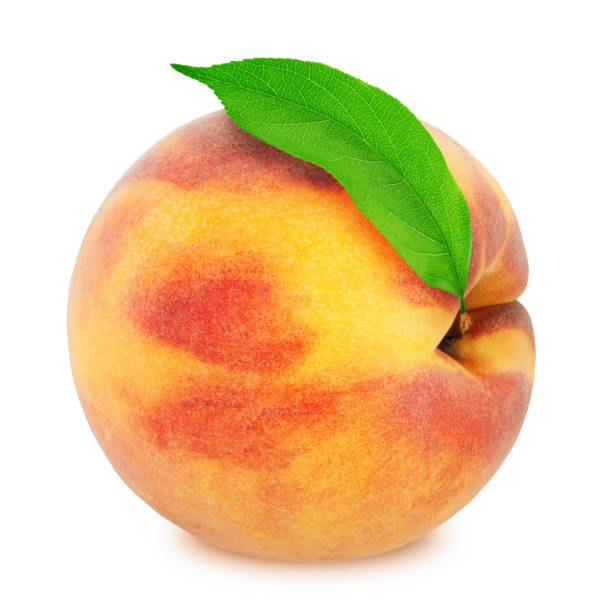 istock Peach with leaf. Full depth of field. 805282292