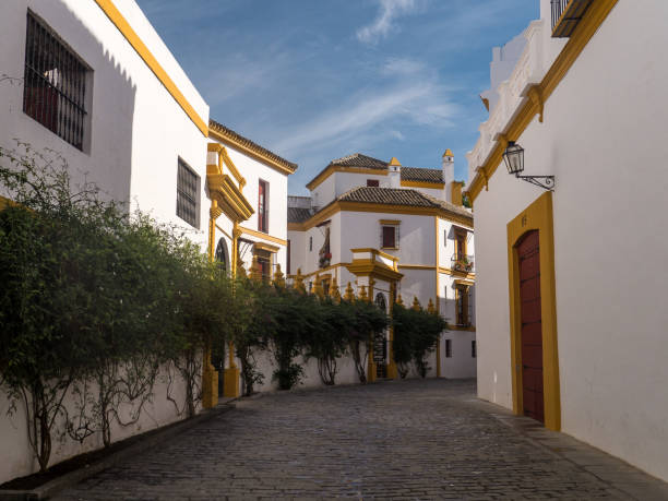 istock Plaza del Toro, Seville 805287484