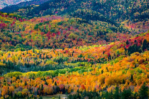 Autumnal mountain landscape.