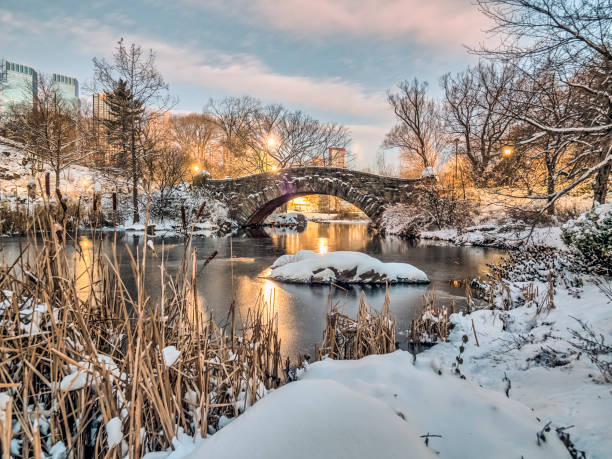 istock Central Park, New York City 805299206