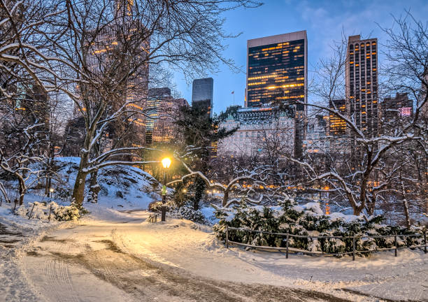 istock Central Park, New York City 805299898