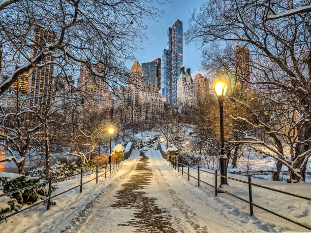 istock Central Park, New York City 805302330