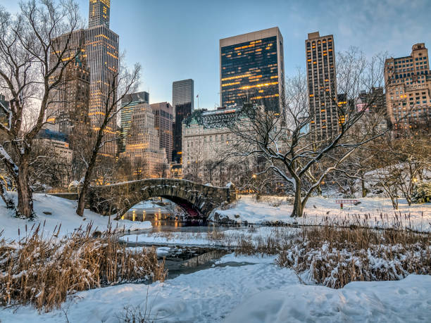 istock Central Park, New York City 805305114