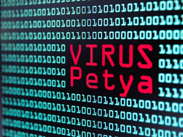 Petrya 230+ Petya Stock Photos, Pictures & Royalty-Free Images - iStock