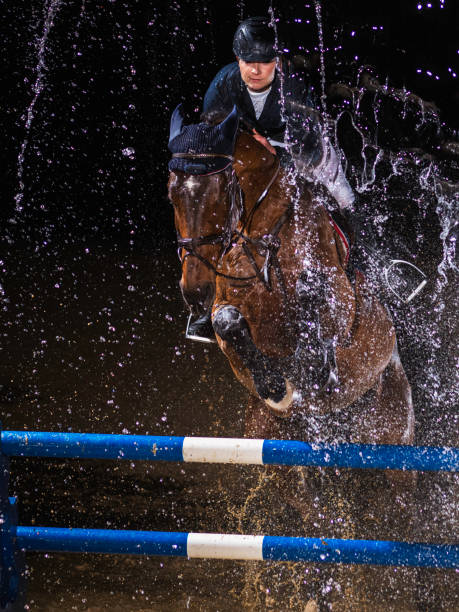 Horse rider jumping over a hurdle Front view vertical photo of a horse and rider jumping over a hurdle through water. horse jumping front stock pictures, royalty-free photos & images
