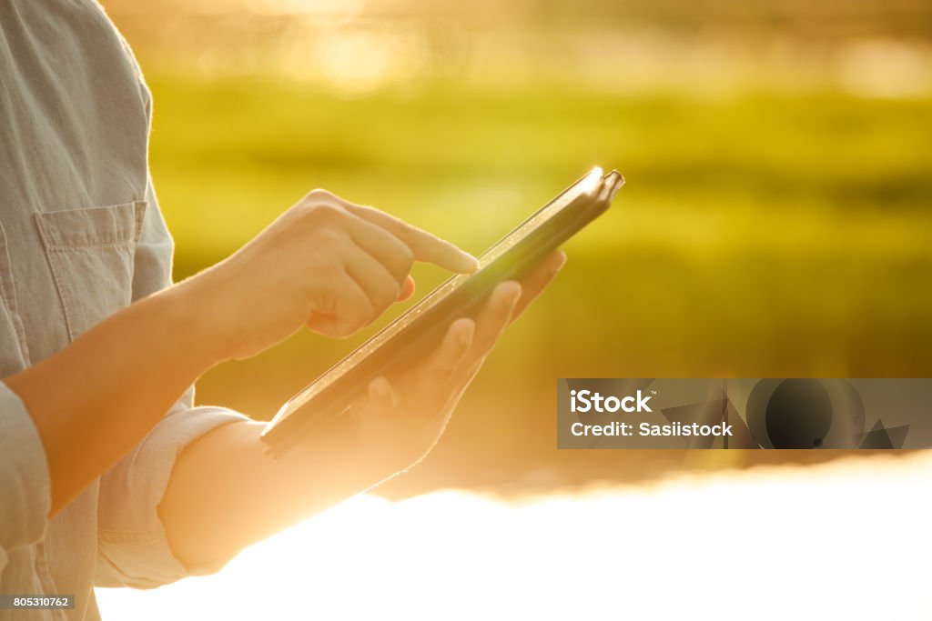 Bäuerin mit digital-Tablette im Kornfeld mit Sonnenlicht - Lizenzfrei Feld Stock-Foto