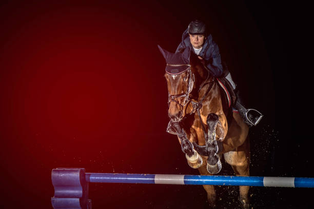 Horse and rider jumping over a hurdle Front view of a horserider jumping over a hurdle at night. horse jumping front stock pictures, royalty-free photos & images