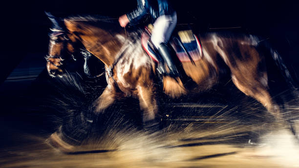 istock Blurred horse rider ridding through a puddle 805312178