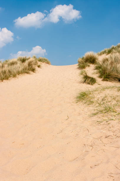istock Sand dunes on a Norfolk beach 805320242