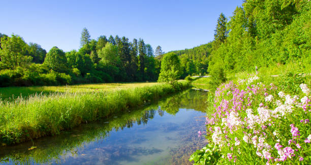 istock Lauteral on the swabian alp 805326890