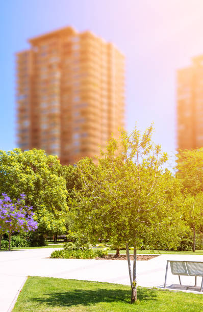 istock High-class neighborhood in Santiago, Chile 805333822