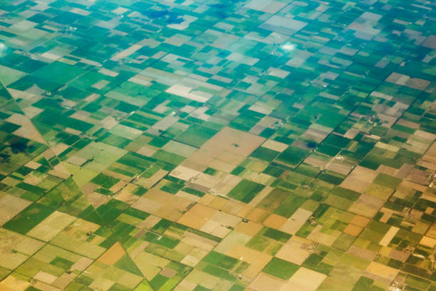 istock Aerial view of the fields. 805333886