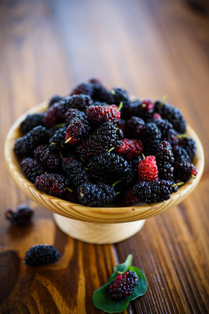 istock Ripe berry of black mulberry 805356496