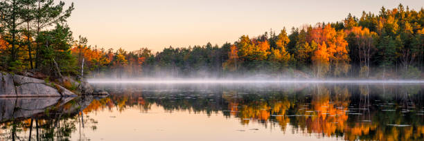 Calm lake in the forest Swedish lake in autumn colors. Early morning lake with a little fog or mist still left. birch tree photos stock pictures, royalty-free photos & images