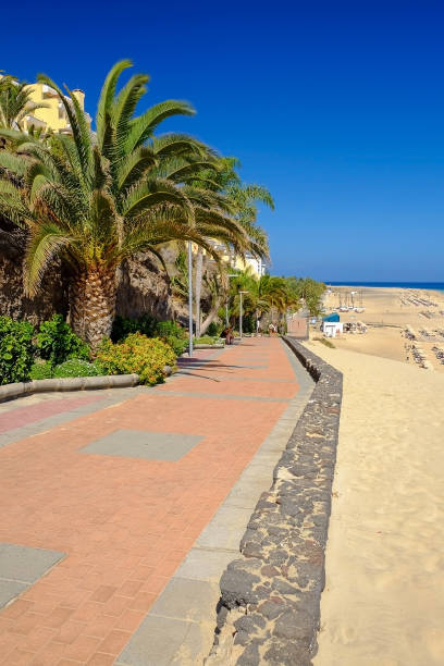 istock Coast on Fuerteventura, Spain. 805412000