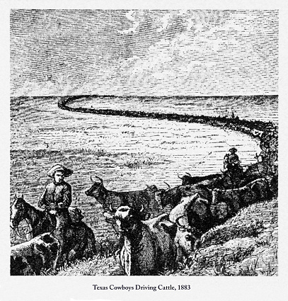 Beautifully Illustrated Antique Engraved Victorian Illustration of Early American Texas Cowboys Driving Cattle Engraving, 1883. Source: Original edition from my own archives. Copyright has expired on this artwork. Digitally restored.